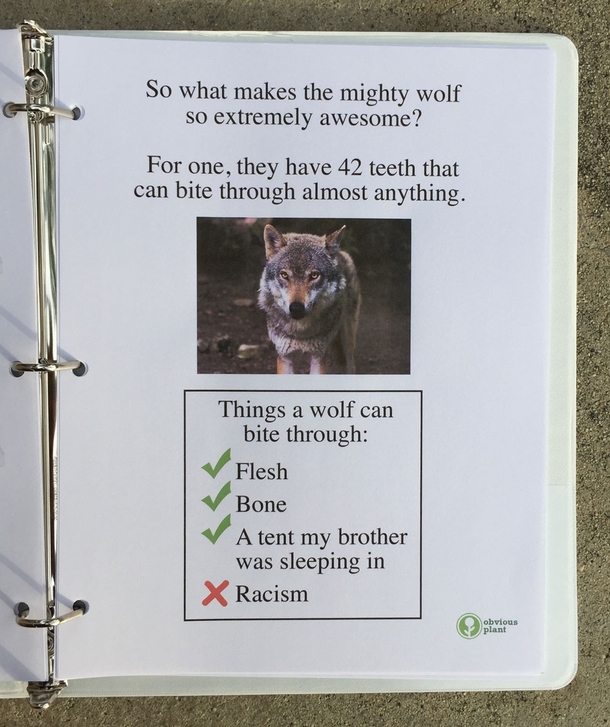 Pic #5 - I left this free biology report about wolves outside a Los Angeles high school