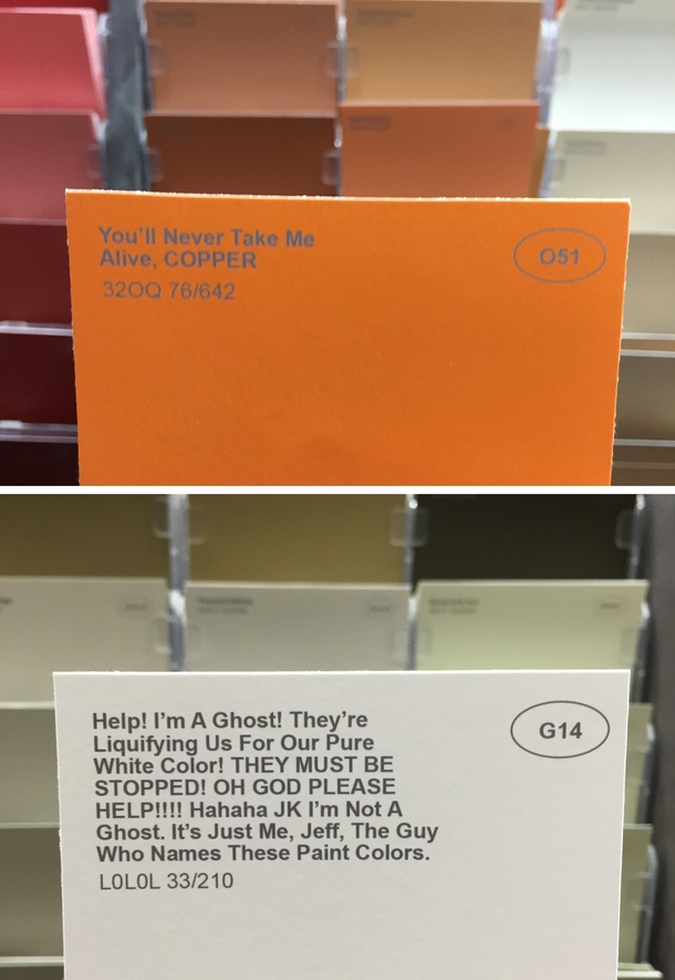Pic #5 - I renamed some of the paint colors at the hardware store