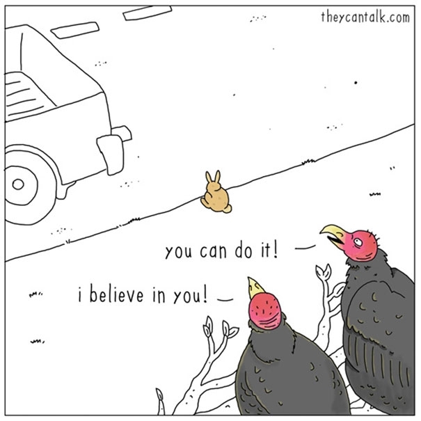 Pic #5 - If animals could talk