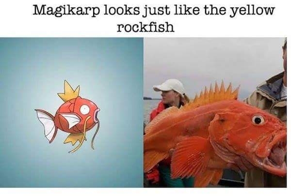 Pic #5 - Real world animals that inspired Pokmon
