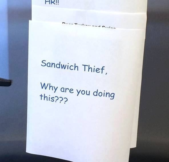 Pic #5 - Sandwich Thief