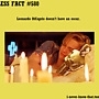 Pic #51 - Useless Facts