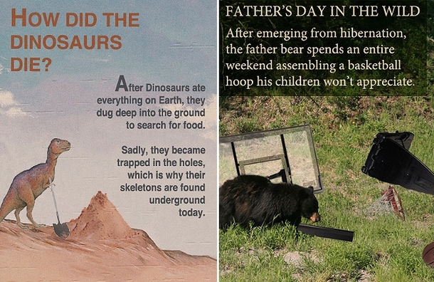 Pic #6 - Amazing little known science facts for a better tomorrow