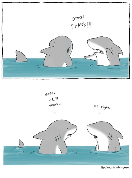 Pic #6 - Animal encounters guaranteed to cheer you up By Liz Climo ...