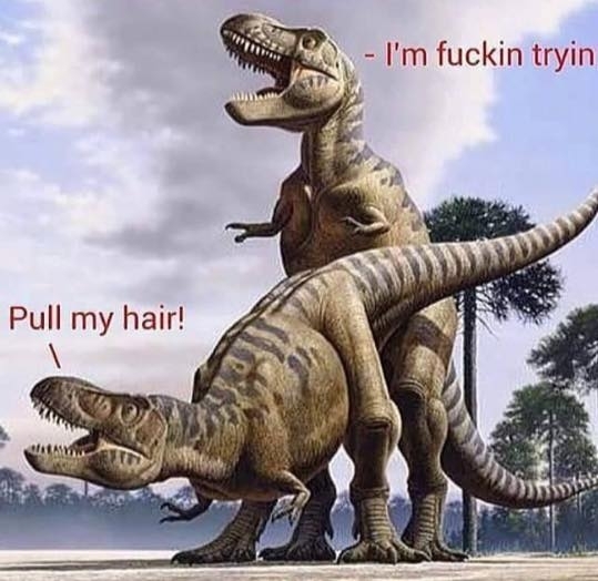 Pic #6 - T-Rex arm jokes are always short