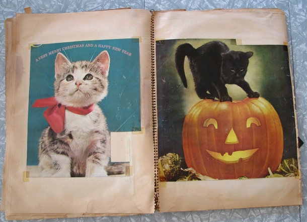 Pic #7 - I found a copy of the internet from the s at a garage sale