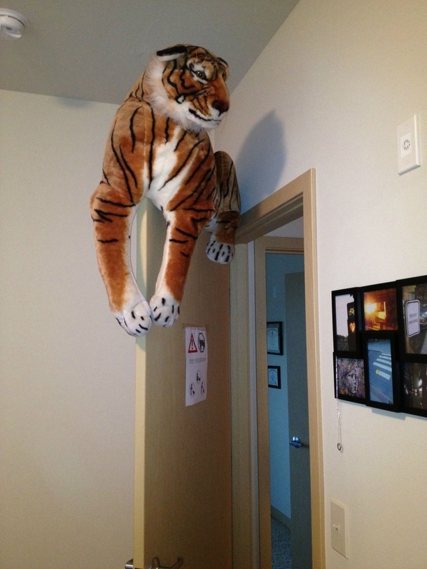 Pic #7 - Ive been hiding surprises for the people showing my apartment
