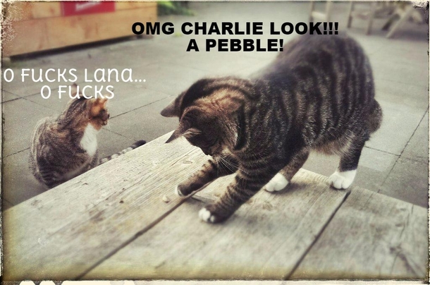 Pic #7 - Meet Charlie and Lana - The Album