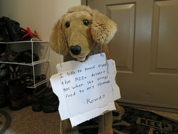 Pic #7 - My Roommates adopted this dog they found abandoned NEAR a dumpster