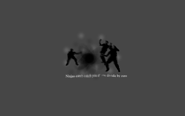 Pic #7 - Ninjas cant get you