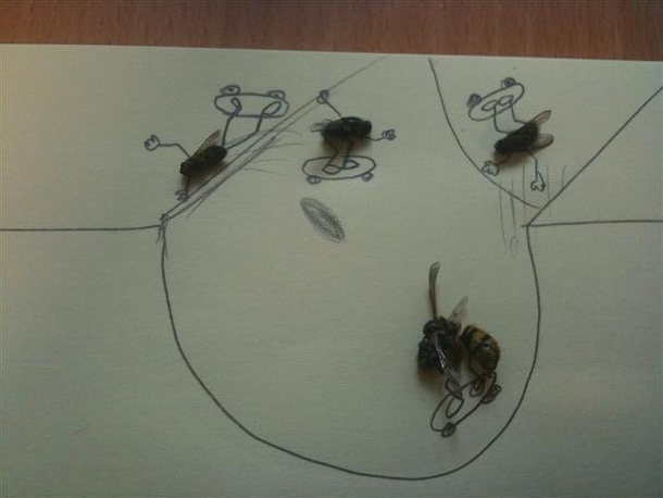 Pic #7 - Sometimes i get bored at work Have some dead flies 