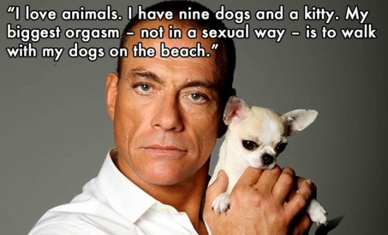 Pic #7 - Things Jean-Claude van Damme said