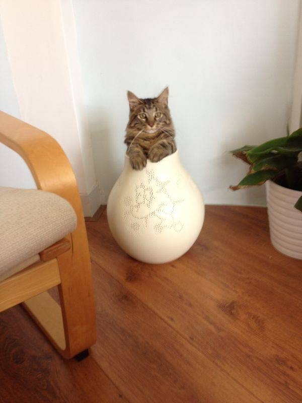 Pic #7 - You can sit anywhere if youre determined