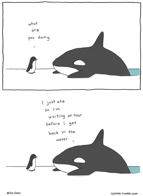 Pic #8 - Animal encounters guaranteed to cheer you up By Liz Climo