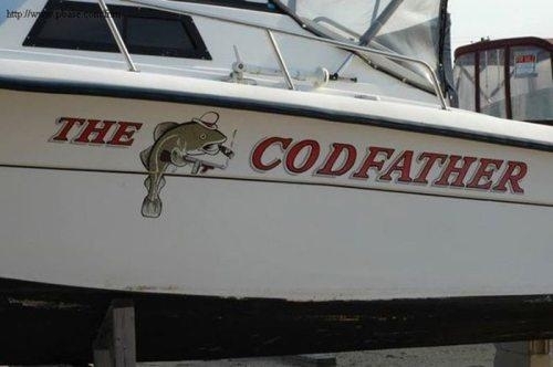 Pic #8 - I should buy a boat