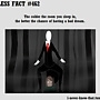 Pic #8 - Useless Facts