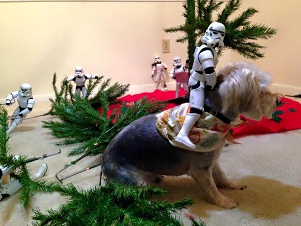 Pic #9 - lets build a tree star wars style
