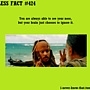Pic #9 - Useless Facts