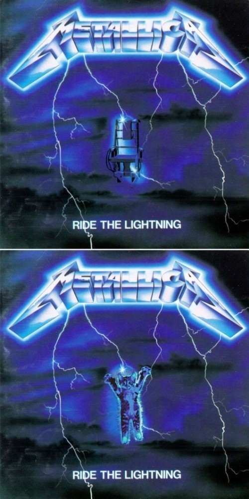 Pic #9 - What can make classic rock albums better Kittens can