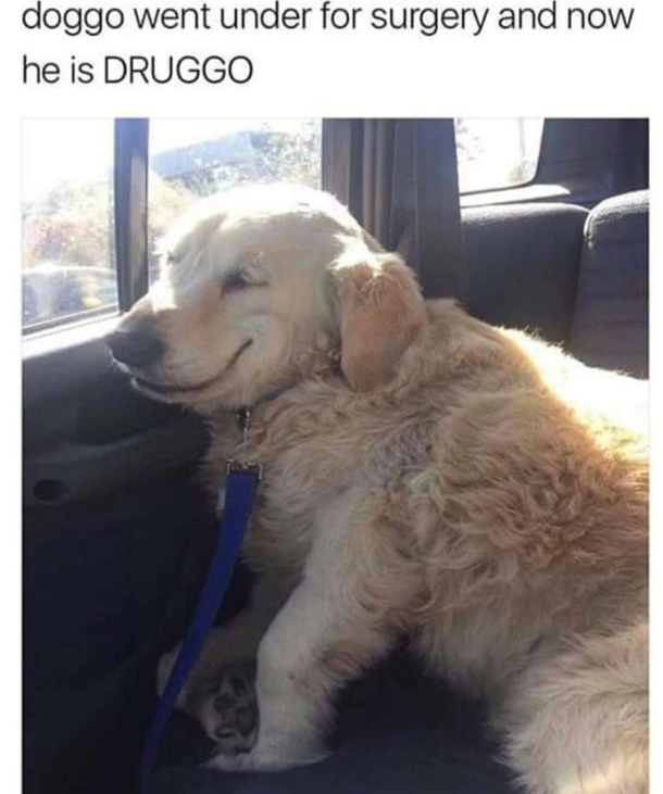 Pic related