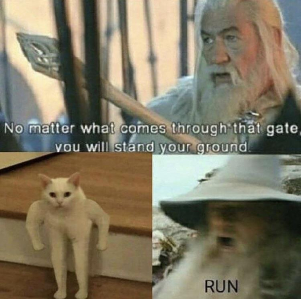 Pick your battles