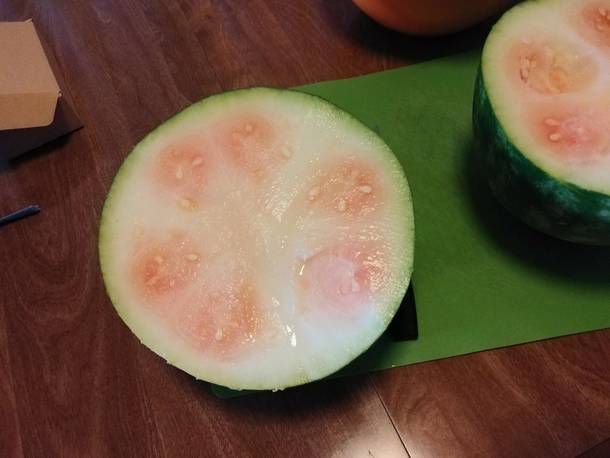 Picked a watermelon by myself for the first time