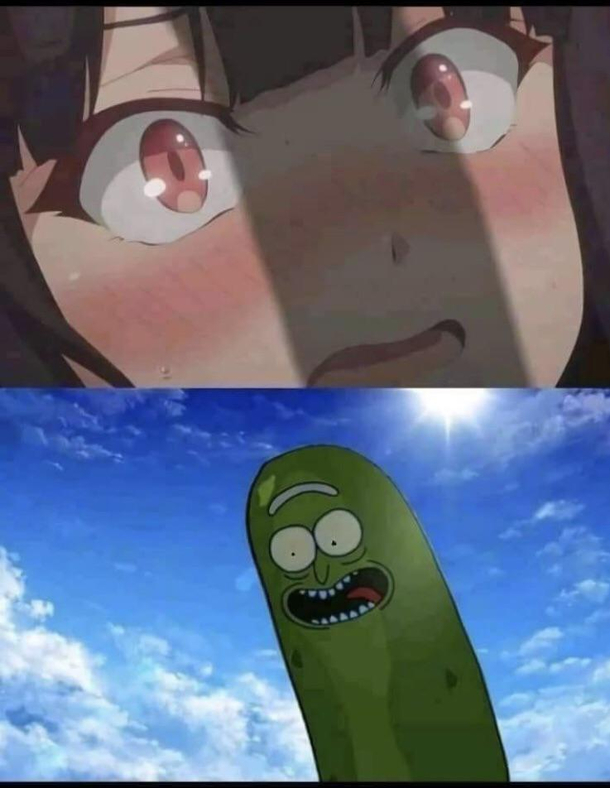 Pickle Rickkkkkkk