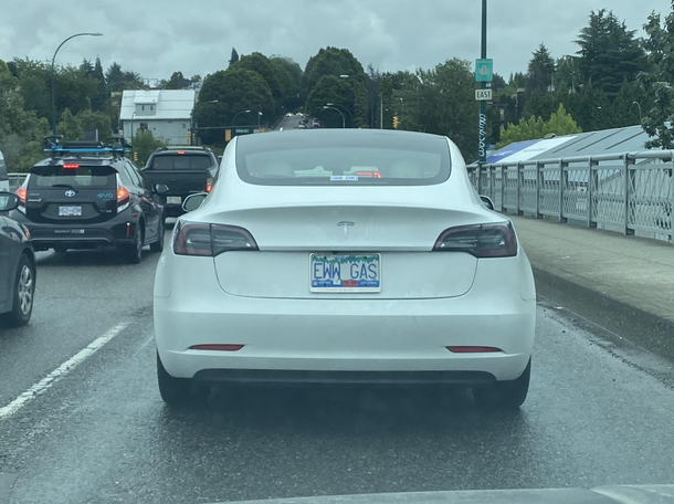 Picky eater Tesla