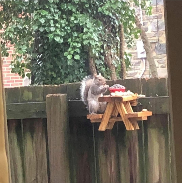 Picnic for one