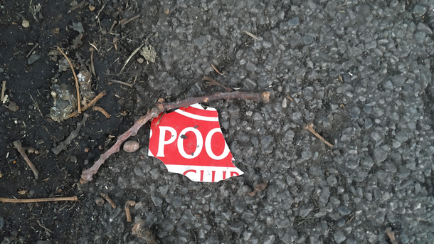 Piece of poo I saw on the floor