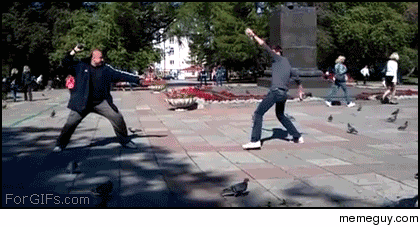 Pigeon-douken