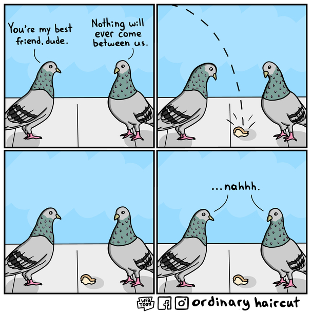 Pigeon Pals