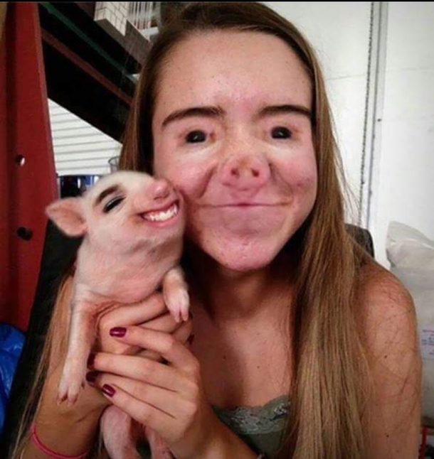Piggy face swap