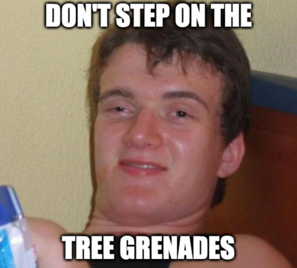 Pine cones I meant Pine Cones