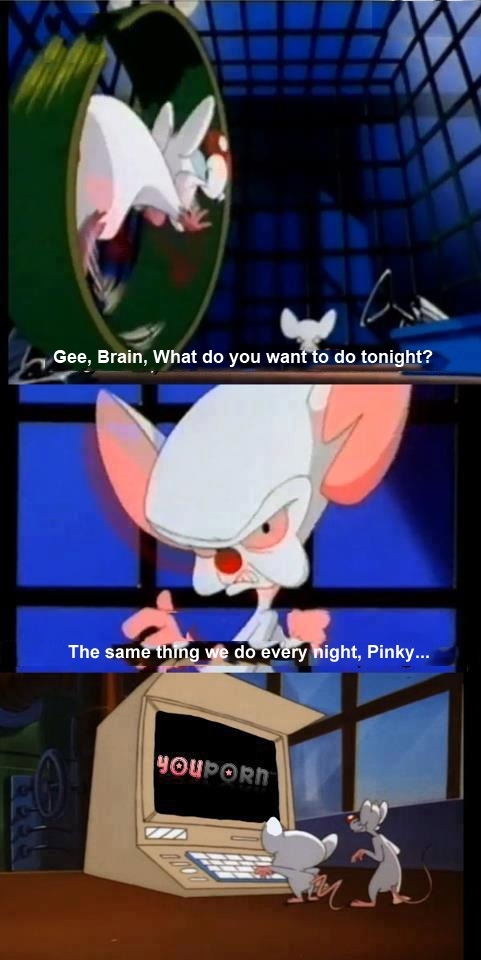 Pinky and the Brain - Meme Guy
