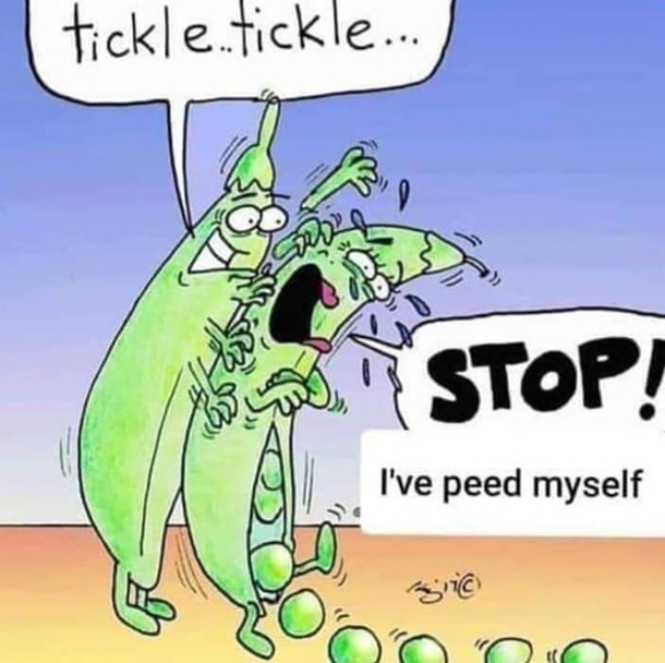 Pisum off
