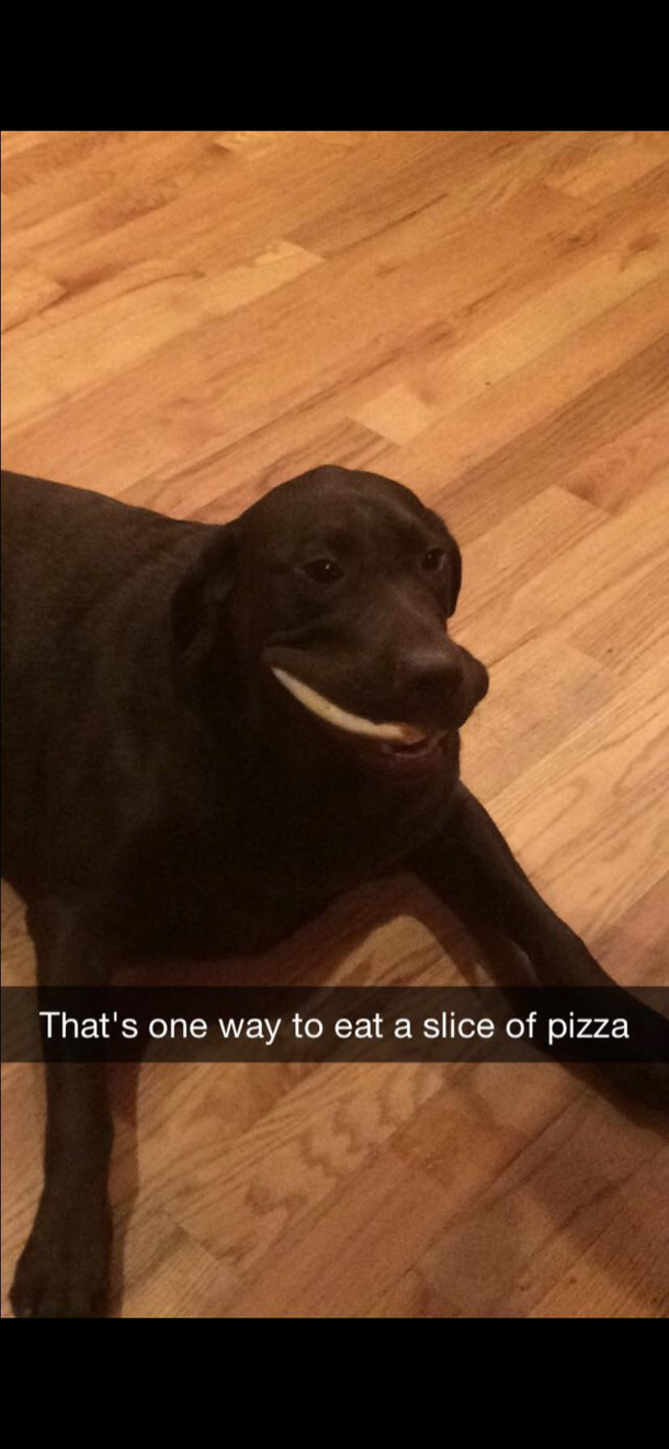 Pizza chonker