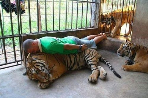 Planking level 