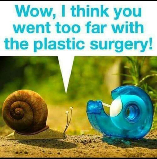 Plastic Surgery