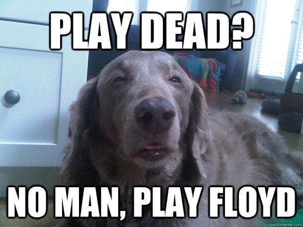 Play Floyd