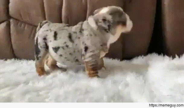 Play with me