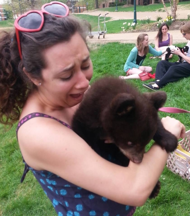 Play with the baby bears they said it will fun they said