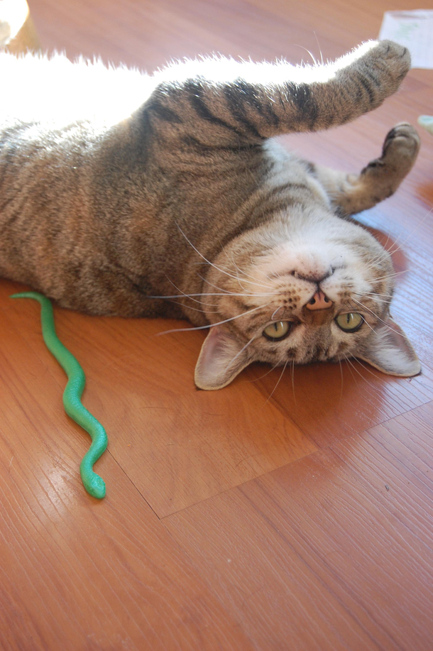 Playtime broke her Where is the reset button