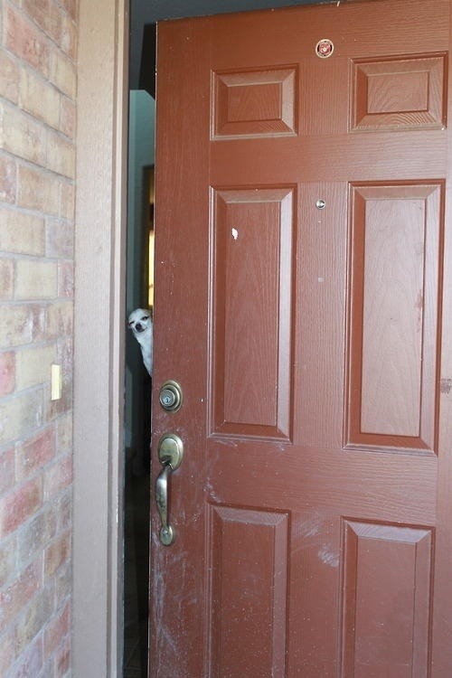 Please come in Ive been expecting you