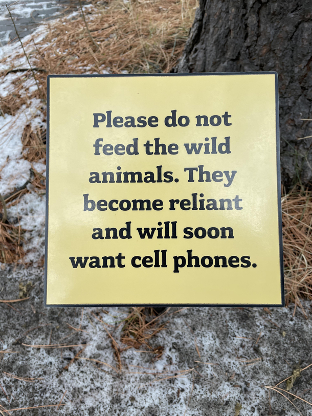 Please do not feed the animals