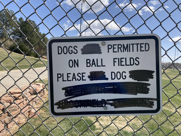 Please Dog