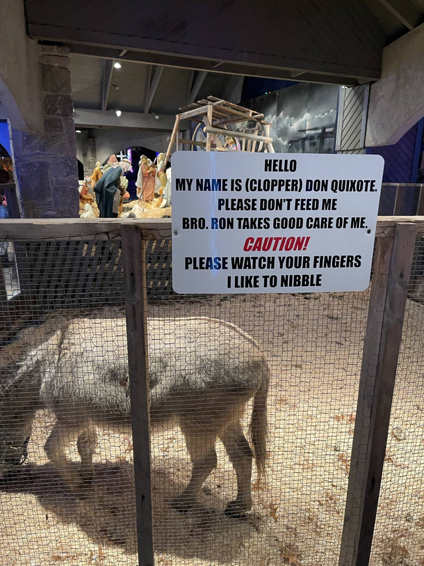 Please dont feed me bro