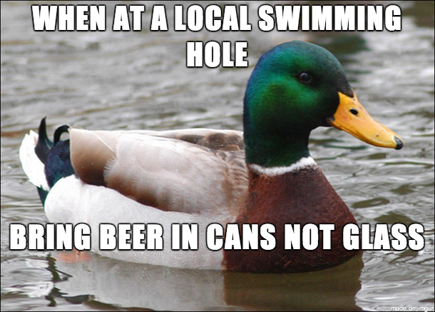 Please heed this advice My dog cut his foot at the river yesterday