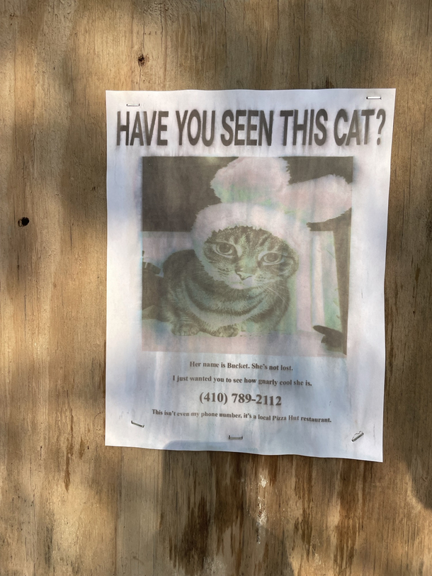 Please help