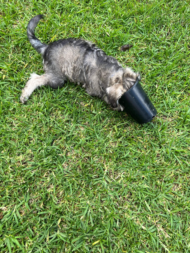 Please help I found my son doing pot
